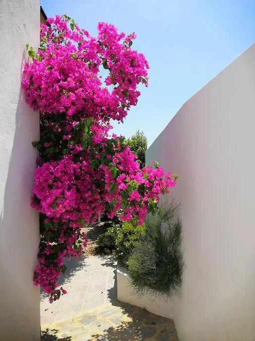 Holiday home Casa Jardin. Vivienda Rural En Zona Tranquila. Villa Lucainena de las Torres