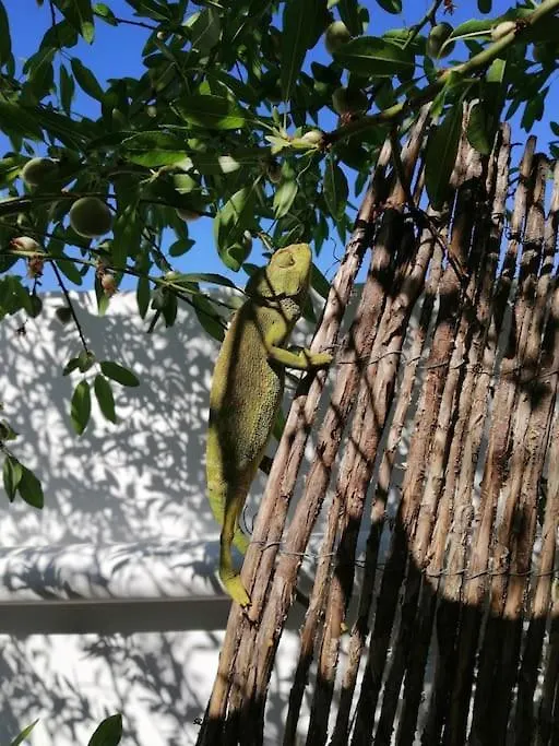 Casa Jardin. Vivienda Rural En Zona Tranquila. Villa Lucainena de las Torres Spain